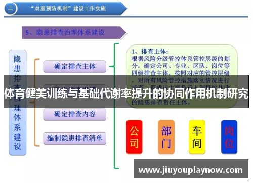 体育健美训练与基础代谢率提升的协同作用机制研究