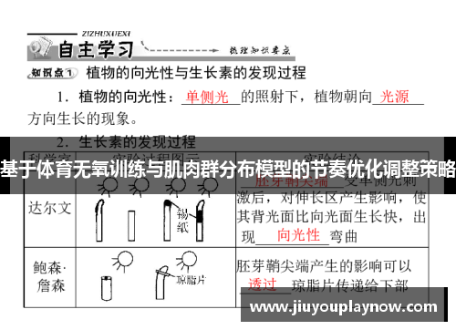 基于体育无氧训练与肌肉群分布模型的节奏优化调整策略